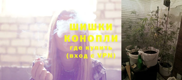 мяу мяу мука Беломорск