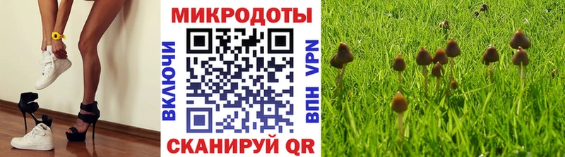 купить наркотики сайты  Макаров  Галлюциногенные грибы MAGIC MUSHROOMS 